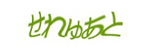 Authentication image